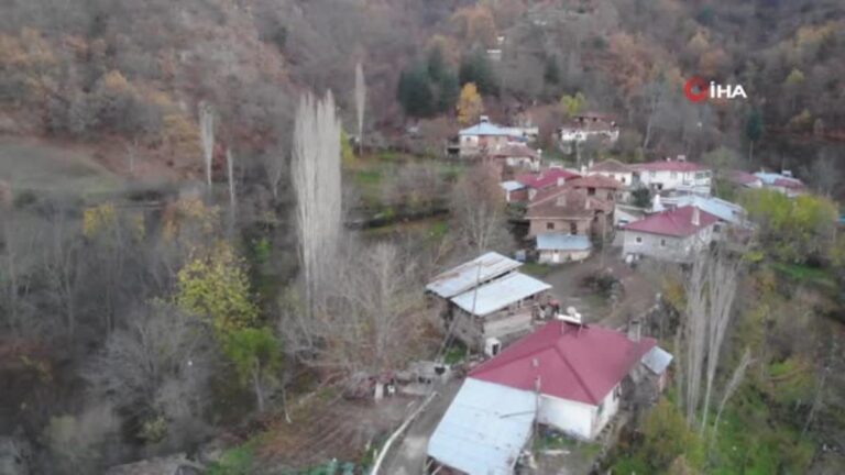 Ayı ile güreşen Tokatlı taburcu oldu, ayıdan haber yok