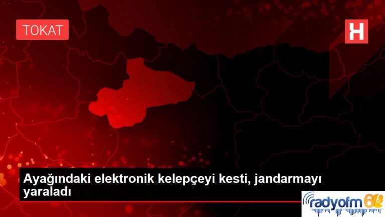 Ayağındaki elektronik kelepçeyi kesti, jandarmayı yaraladı