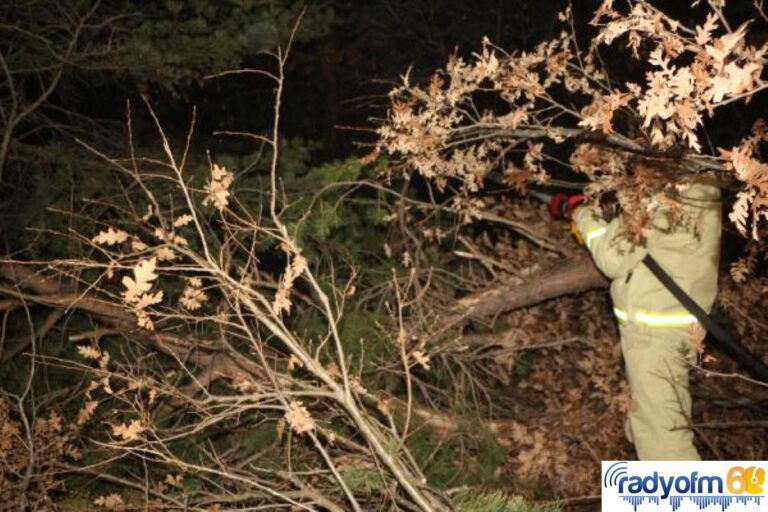 Son dakika gündem: Tokat’ta orman yangını (3)