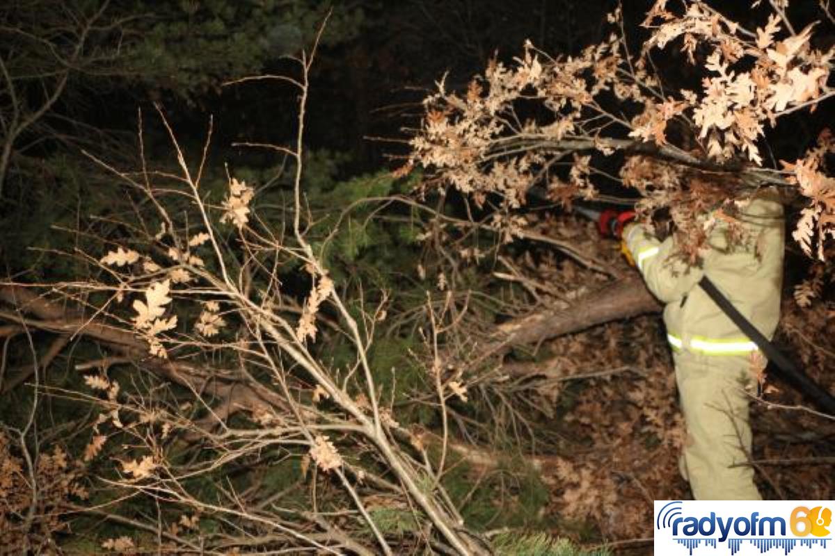 Son dakika gündem: Tokat’ta orman yangını (3)