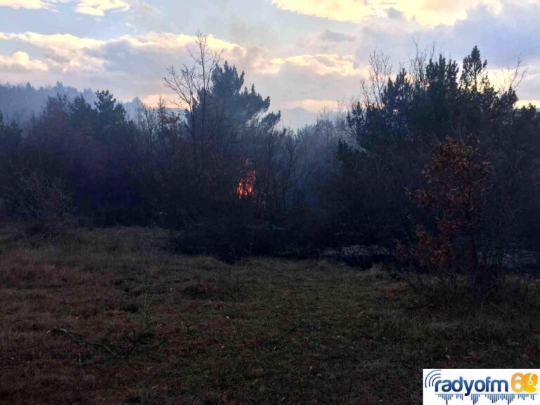 Tokat’ta orman yangını, bölgeye itfaiye ekipleri sevk edildi