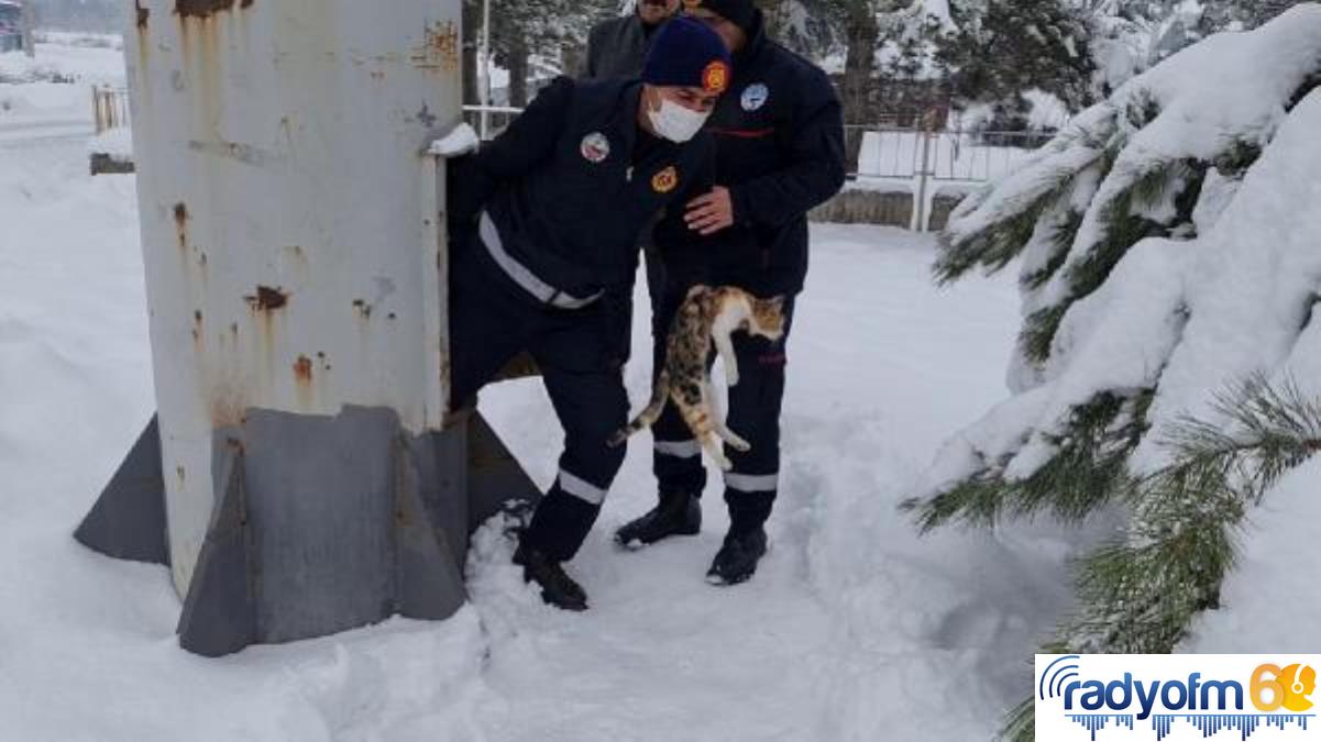 15 METRELİK TABELADA MAHSUR KALAN YAVRU KEDİ KURTARILDI