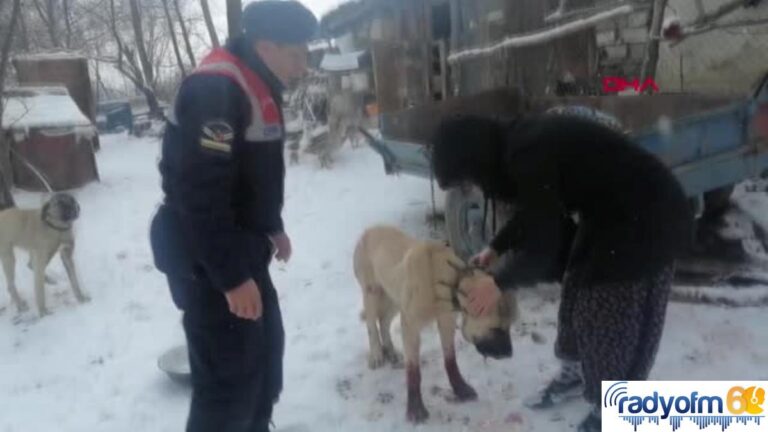 KÖYDE KENDİSİNE HAVLAYAN KÖPEĞİ TÜFEKLE YARALADI