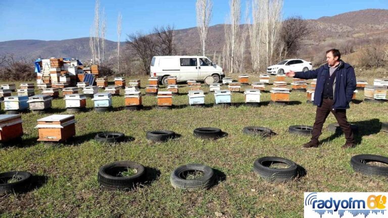 Tokat’ta, kovanlar içindeki arılarla birlikte çalındı