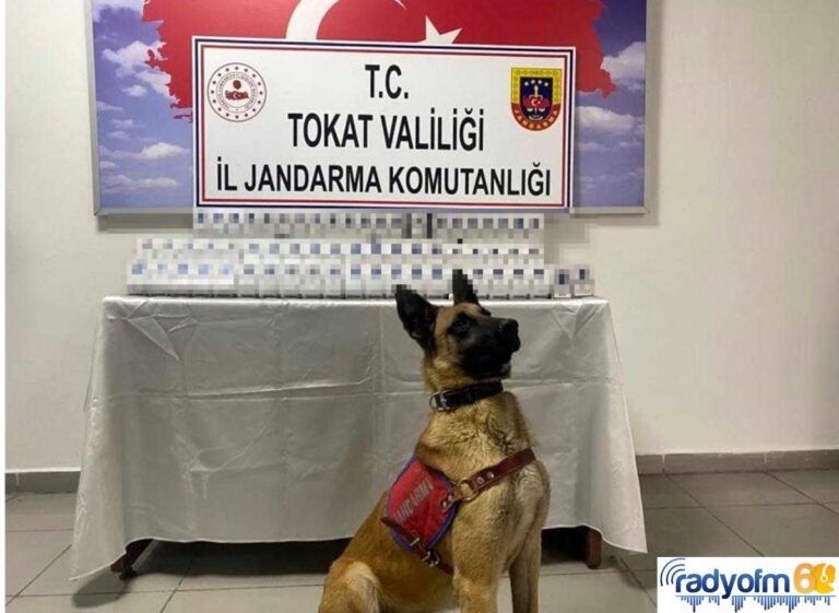 Yolcu otobüsünde kaçak sigara ele geçirildi