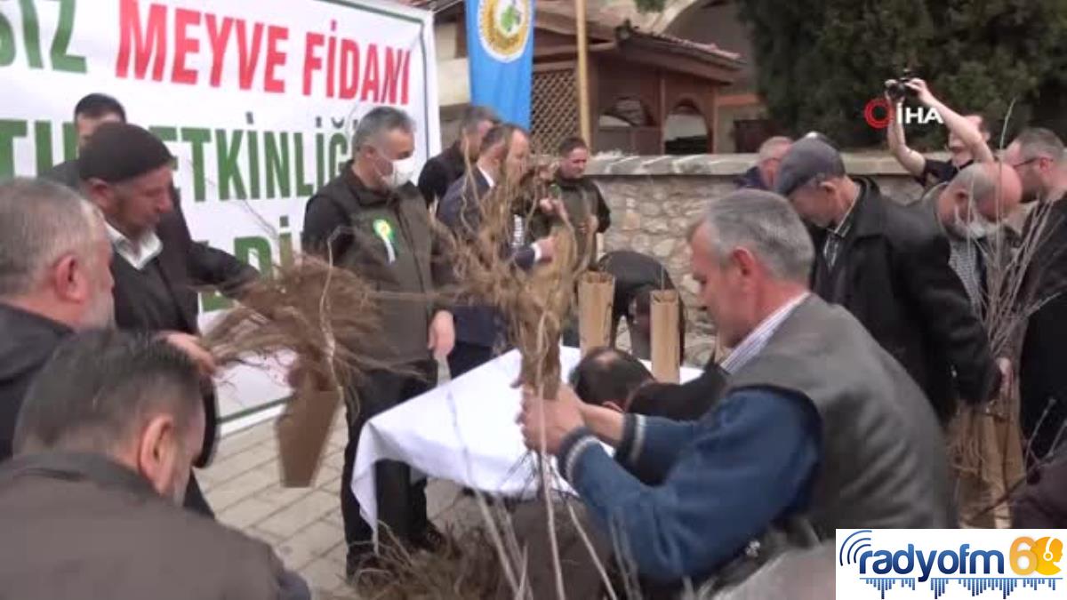 Fidan alabilmek için birbiriyle yarıştılar