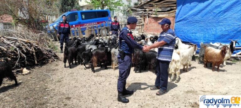 Ormanlık alanda kayboldular, jandarma dronla buldu