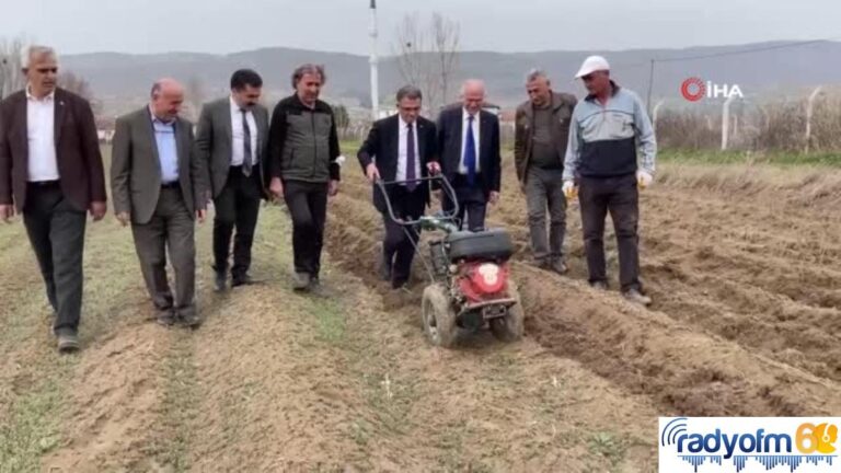 Tokat Valisi Balcı, çapa yaptı