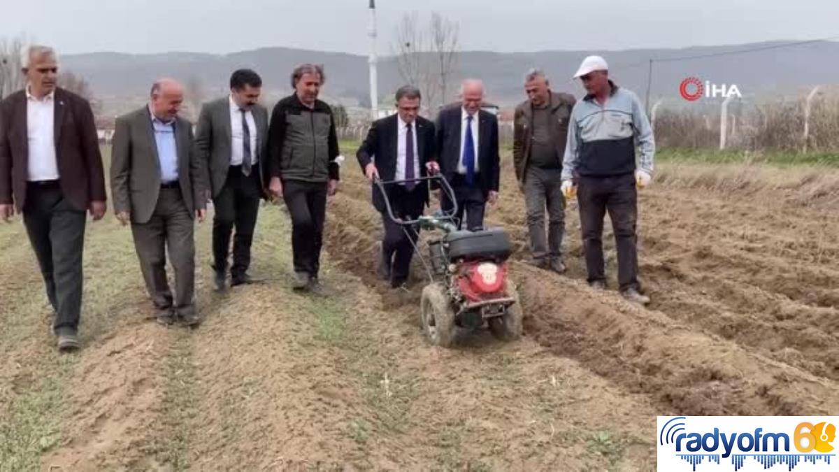 Tokat Valisi Balcı, çapa yaptı