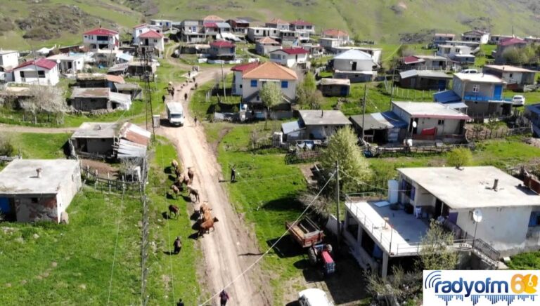 Asırlık yayla göçü başladı