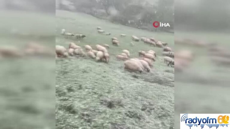 Tokat’ta 19 Mayıs’ta yüksek kesimlere yağan kar görenleri şaşırttı