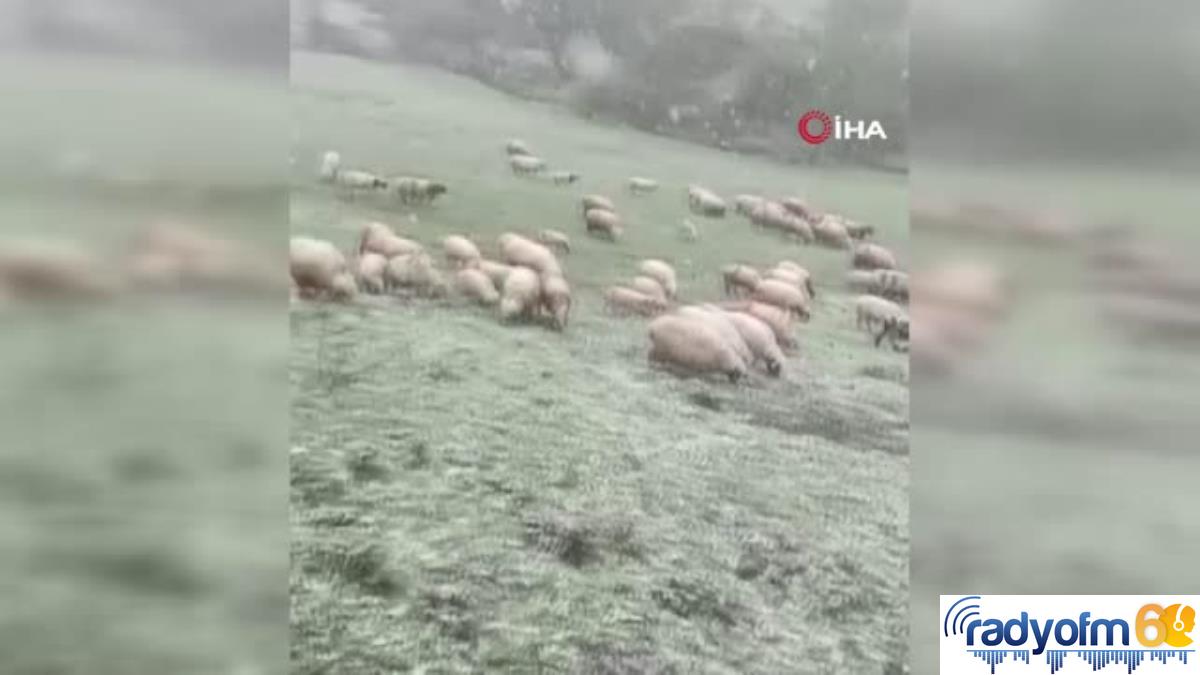 Tokat’ta 19 Mayıs’ta yüksek kesimlere yağan kar görenleri şaşırttı