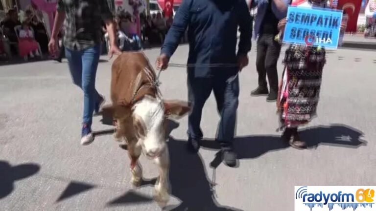 Podyuma çıkan buzağılar isimleriyle dikkat çekti