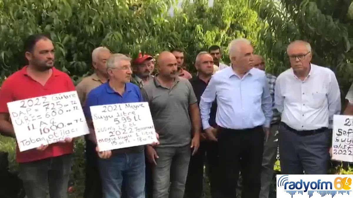 Tokatlı Üreticilerden Meyve Taban Fiyatının Geçen Yıldan Düşük Olmasına Tepki: “2 Lira Fiyat, Köylüyle Dalga Geçmekten Başka Bir Şey Değil”