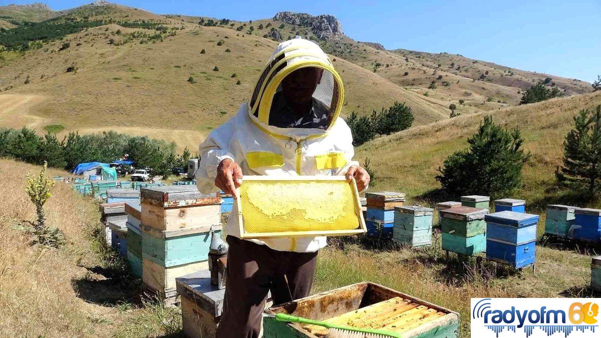 1 kovanla başladı, 100 kovana çıkarttı