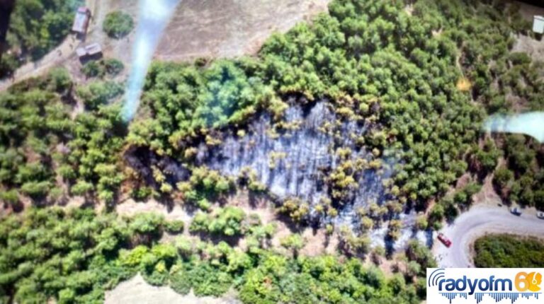 Tokat haber… Tokat’ta orman yangını; 1 saatte kontrol altına alındı