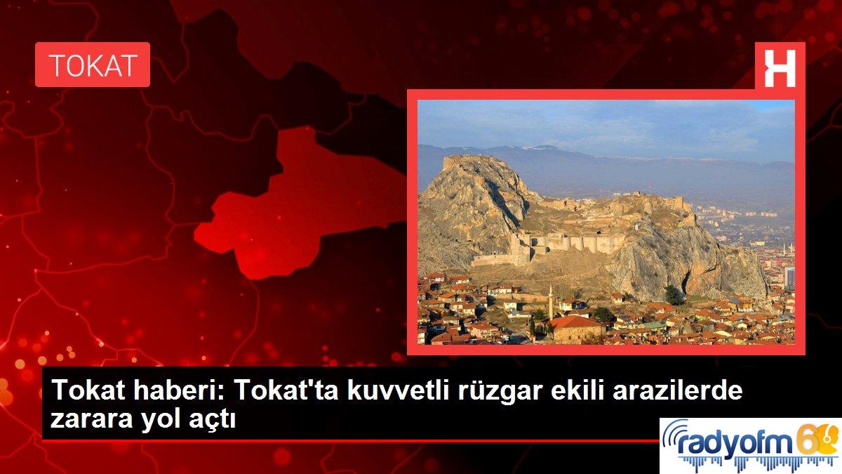 Tokat haberi: Tokat’ta kuvvetli rüzgar ekili arazilerde zarara yol açtı