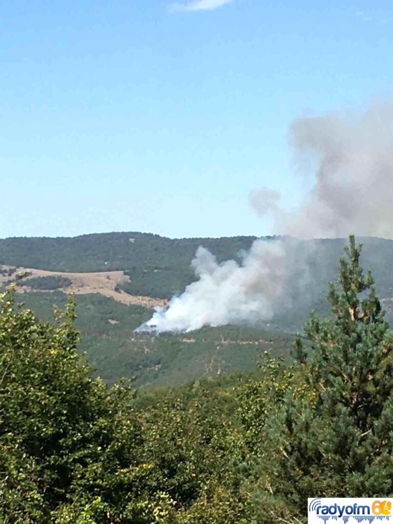 Son dakika haber! Tokat’ta orman yangını