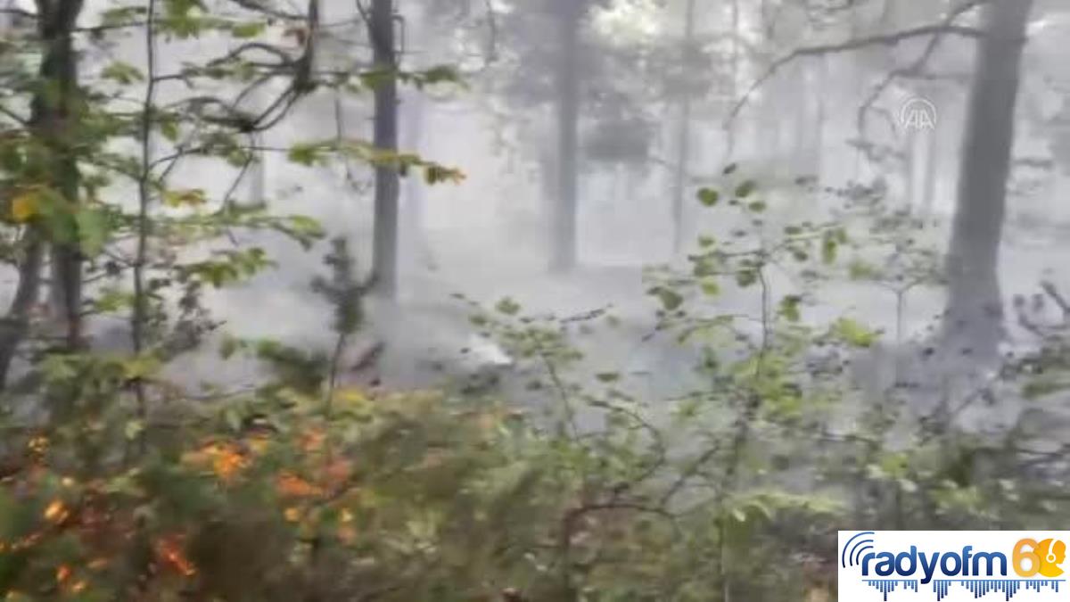 Tokat gündem haberi… Reşadiye ilçesinde çıkan orman yangını kontrol altına alındı