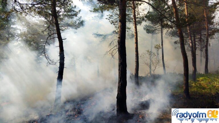 Tokat haberleri… Tokat’ın Reşadiye ilçesinde çıkan orman yangını kontrol altına alındı