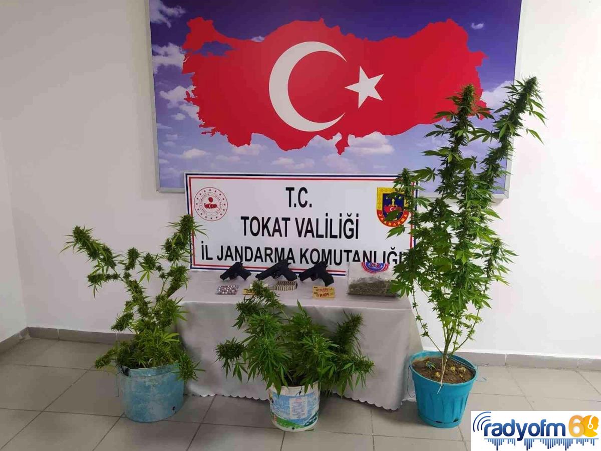 Tokat haberleri: Tokat’ta uyuşturucu operasyonu: 2 gözaltı