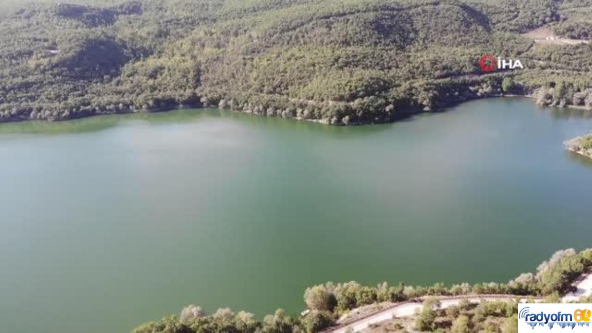 Son dakika gündem: Tescilli doğa harikası Zinav Gölü Tabiat Parkı turizme kazandırıldı